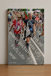 Evenement foto: Nijmeegse Vierdaagse 1096