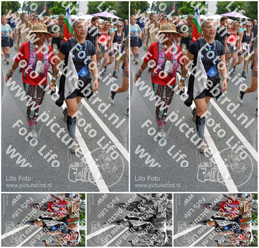 Evenement foto: Nijmeegse Vierdaagse 1096