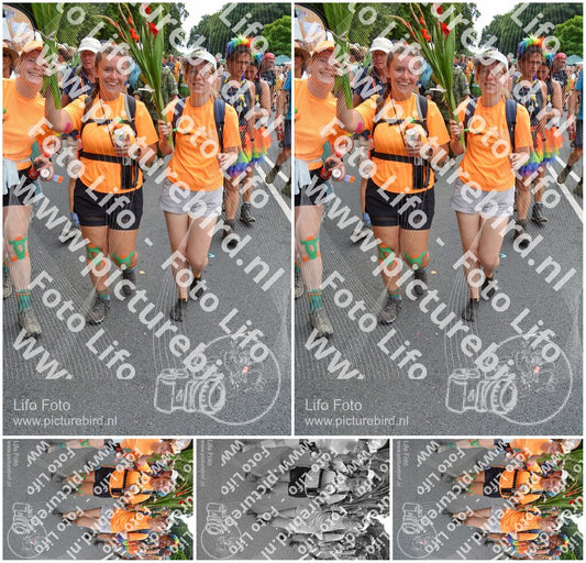 Evenement foto: Nijmeegse Vierdaagse 1096
