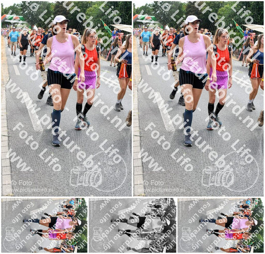 Evenement foto: Nijmeegse Vierdaagse 740