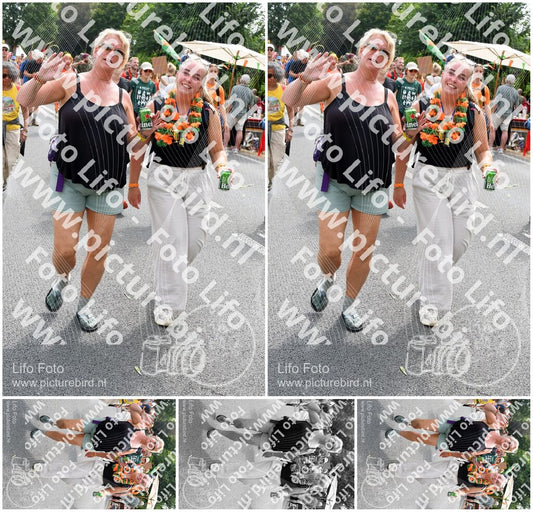 Evenement foto: Nijmeegse Vierdaagse 740