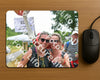 Evenement foto: Nijmeegse Vierdaagse 740