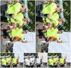 Evenement foto: Nijmeegse Vierdaagse 740
