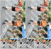 Evenement foto: Nijmeegse Vierdaagse 740