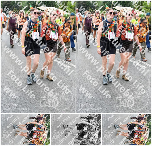 Evenement foto: Nijmeegse Vierdaagse 740