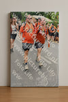 Evenement foto: Nijmeegse Vierdaagse 740