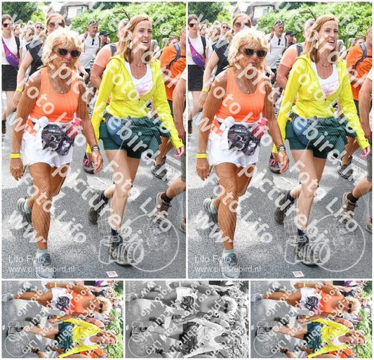 Evenement foto: Nijmeegse Vierdaagse 739