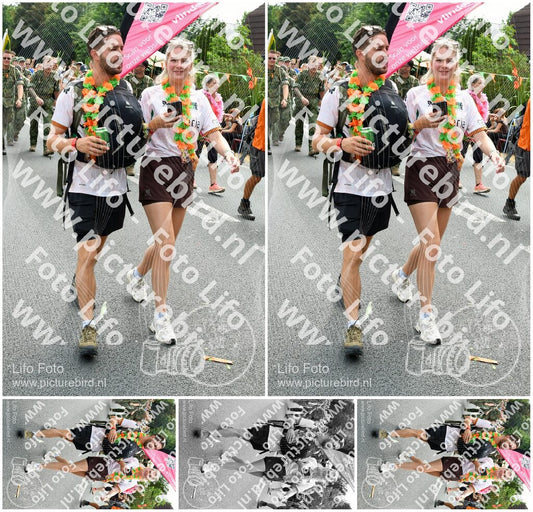 Evenement foto: Nijmeegse Vierdaagse 739