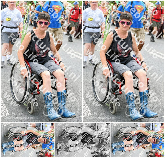 Evenement foto: Nijmeegse Vierdaagse 738