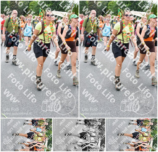 Evenement foto: Nijmeegse Vierdaagse 738