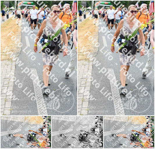 Evenement foto: Nijmeegse Vierdaagse 738