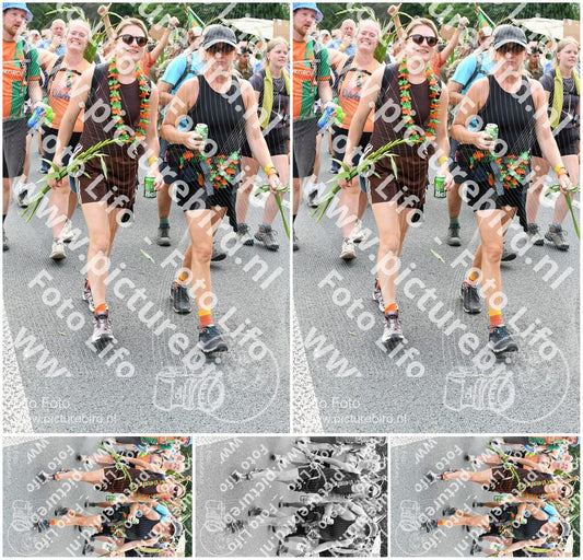 Evenement foto: Nijmeegse Vierdaagse 738
