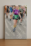Evenement foto: Nijmeegse Vierdaagse 738