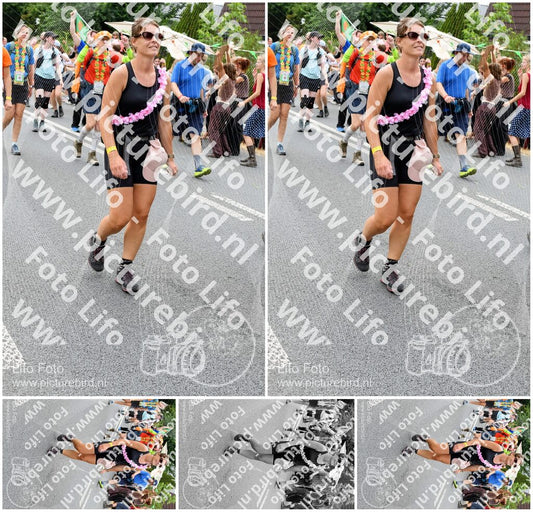 Evenement foto: Nijmeegse Vierdaagse 737