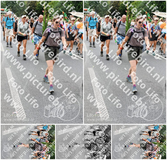 Evenement foto: Nijmeegse Vierdaagse 737