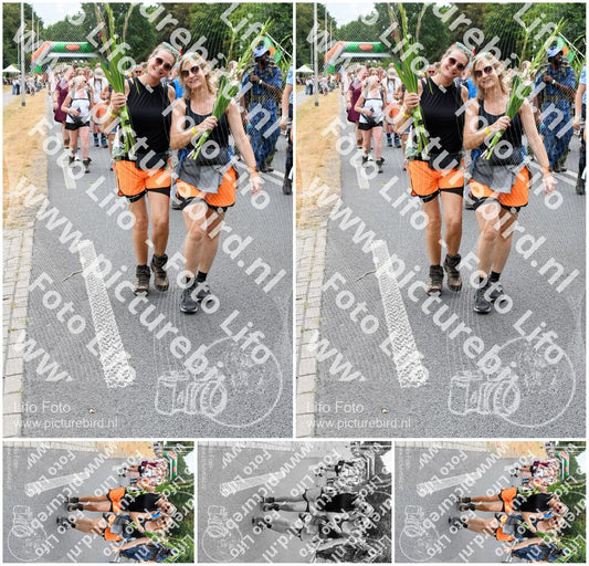 Evenement foto: Nijmeegse Vierdaagse 737
