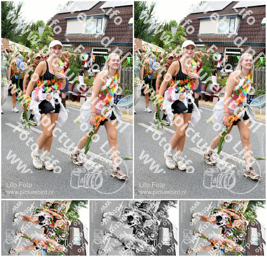 Evenement foto: Nijmeegse Vierdaagse 737