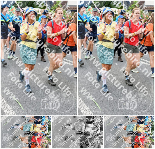 Evenement foto: Nijmeegse Vierdaagse 737