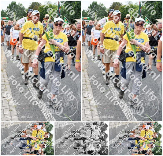 Evenement foto: Nijmeegse Vierdaagse 737