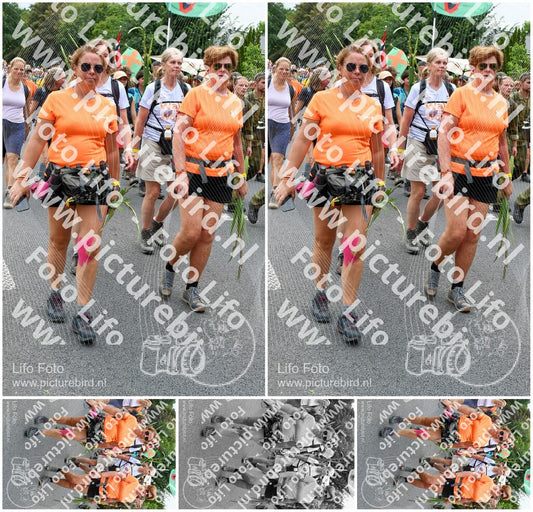 Evenement foto: Nijmeegse Vierdaagse 736