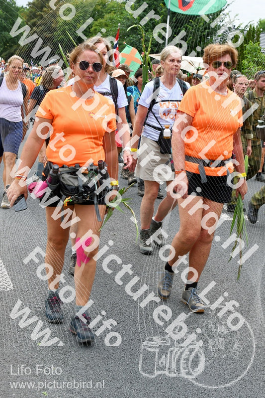 Evenement foto: Nijmeegse Vierdaagse 736