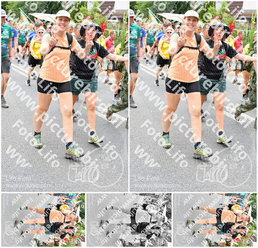 Evenement foto: Nijmeegse Vierdaagse 736