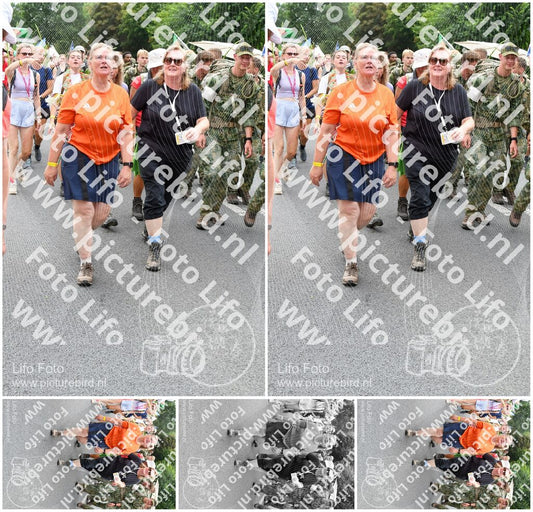 Evenement foto: Nijmeegse Vierdaagse 736