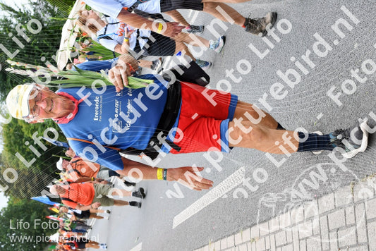 Evenement foto: Nijmeegse Vierdaagse 736