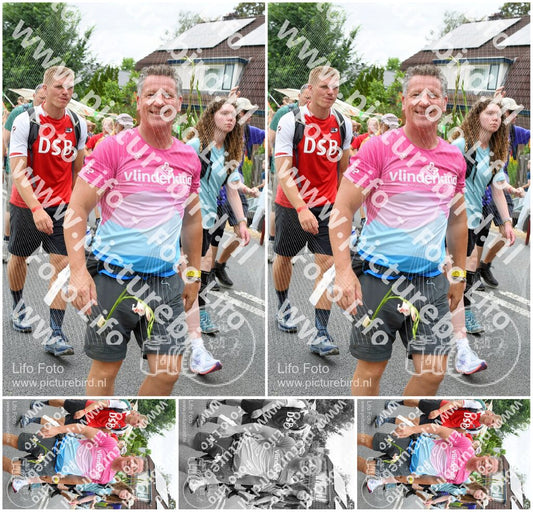Evenement foto: Nijmeegse Vierdaagse 736