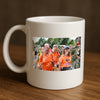 Evenement foto: Nijmeegse Vierdaagse 736