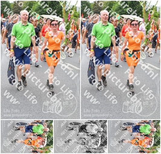 Evenement foto: Nijmeegse Vierdaagse 736