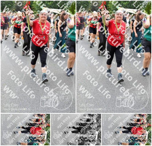 Evenement foto: Nijmeegse Vierdaagse 736