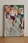 Evenement foto: Nijmeegse Vierdaagse 736