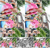 Evenement foto: Nijmeegse Vierdaagse 736
