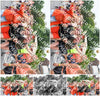 Evenement foto: Nijmeegse Vierdaagse 736