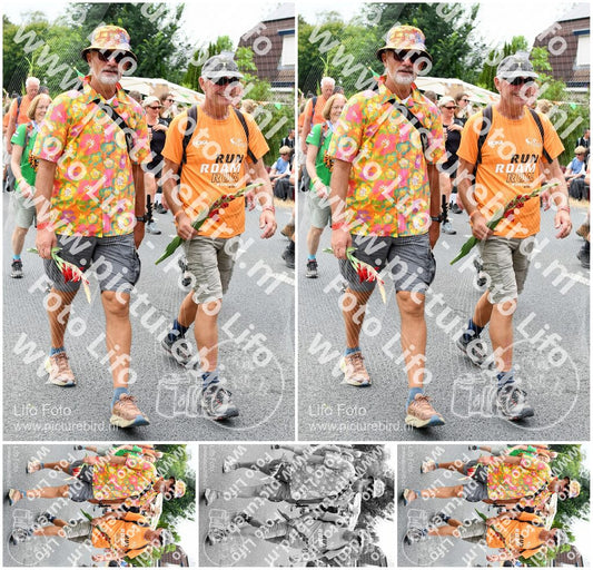 Evenement foto: Nijmeegse Vierdaagse 736