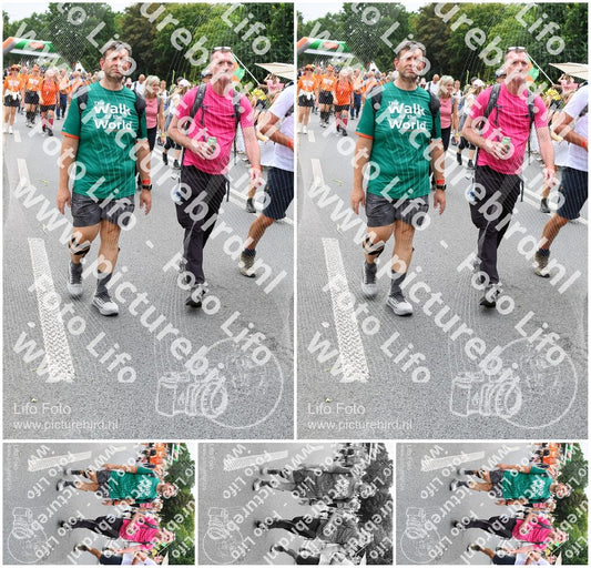 Evenement foto: Nijmeegse Vierdaagse 736