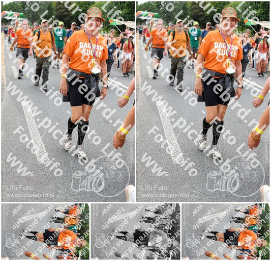 Evenement foto: Nijmeegse Vierdaagse 736