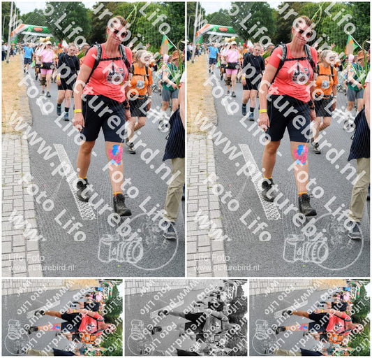 Evenement foto: Nijmeegse Vierdaagse 726