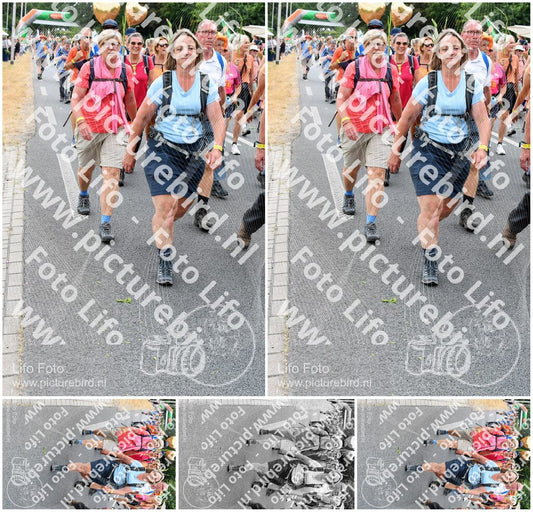 Evenement foto: Nijmeegse Vierdaagse 726