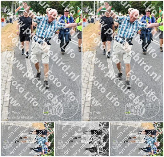 Evenement foto: Nijmeegse Vierdaagse 726