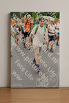 Evenement foto: Nijmeegse Vierdaagse 726