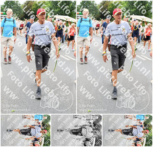 Evenement foto: Nijmeegse Vierdaagse 726