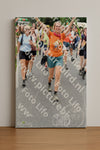 Evenement foto: Nijmeegse Vierdaagse 726
