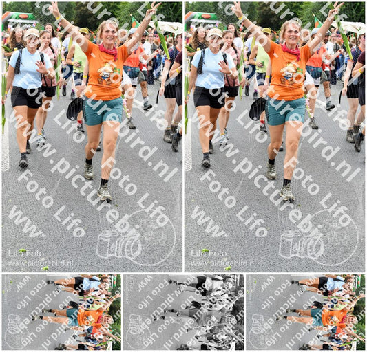 Evenement foto: Nijmeegse Vierdaagse 726