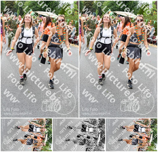 Evenement foto: Nijmeegse Vierdaagse 726