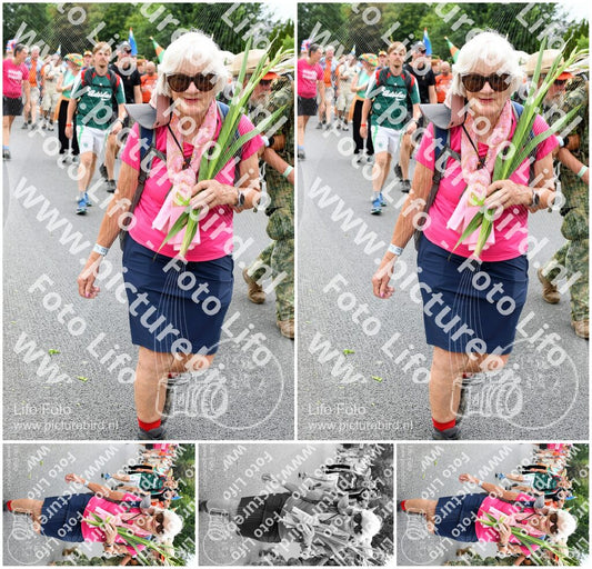 Evenement foto: Nijmeegse Vierdaagse 726