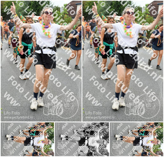 Evenement foto: Nijmeegse Vierdaagse 726