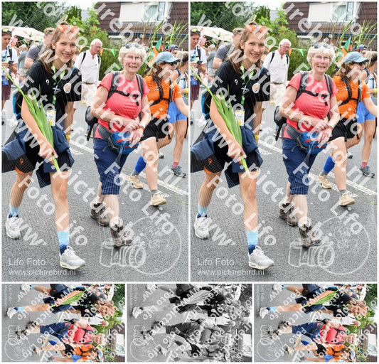 Evenement foto: Nijmeegse Vierdaagse 726