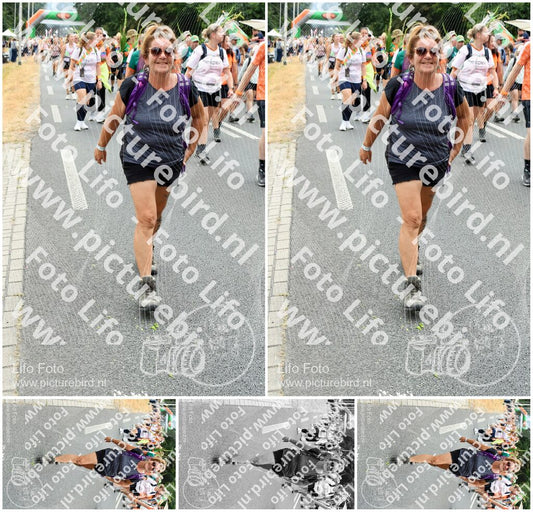 Evenement foto: Nijmeegse Vierdaagse 726